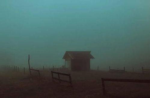 永远孤独,探寻人类内心深处的孤独奥秘